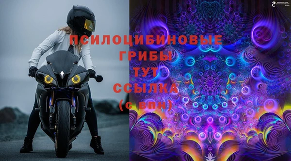 эйфоретик Гусиноозёрск