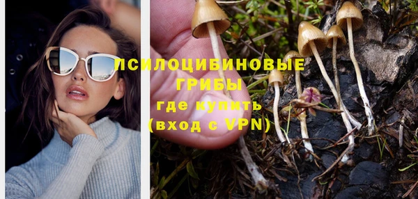 МДПВ Новодвинск