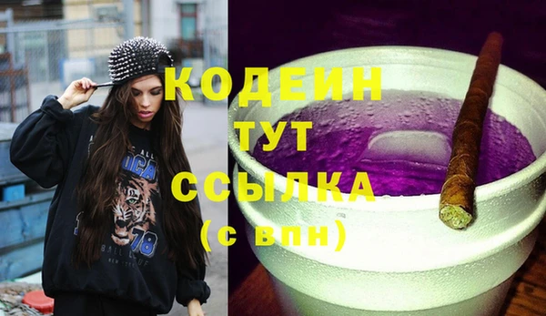молекула духа Гусев